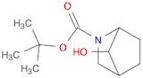 tert-butyl 7-hydroxy-2-azabicyclo[2.2.1]heptane-2-carboxylate