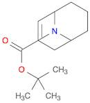 tert-butyl 9-azabicyclo[3.3.1]non-2-ene-9-carboxylate