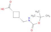 cyclobutanecarboxylicacid,3-[[[(1,1-dimethylethoxy)carbonyl]amino]methyl]-,cis-