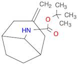 tert-butyl N-{3-methylidenebicyclo[3.2.1]octan-8-yl}carbamate