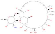 AmphotericinB