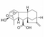 Gibb-3-ene-1,10-dicarboxylic acid,2,4a-dihydroxy-1-methyl-8-methylene-, 1,4a-lactone,(1a,2b,4aa,...