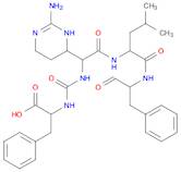 Chymostatin