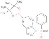 1-(phenylsulfonyl)-5-(4,4,5,5-tetramethyl-1,3,2-dioxaborolan-2-yl)-1H-pyrrolo[2,3-b]pyridine