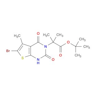 CS-B1628