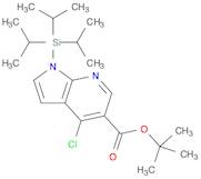 tert-butyl 4-chloro-1-(triisopropylsilyl)-1H-pyrrolo[2,3-b]pyridine-5-carboxylate