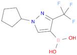 1-Cyclopentyl-3-(trifluoromethyl)pyrazole-4-boronic acid