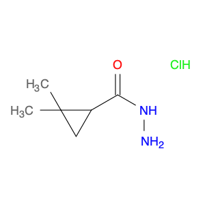 2,2-dimethylcyclopropanecarbohydrazide hydrochloride