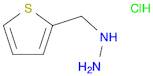 (2-thienylmethyl)hydrazine hydrochloride