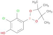 2,3-dichloro-4-(4,4,5,5-tetramethyl-1,3,2-dioxaborolan-2-yl)phenol