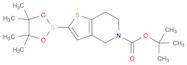 tert-Butyl 2-(tetramethyl-1,3,2-dioxaborolan-2-yl)-4H,6H,7H-thieno[3,2-c]pyridine-5-carboxylate