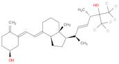 25-Hydroxy Vitamin D2-d6