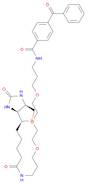 N-(3-(2-(2-(3-(Biotinamino)propoxy)ethoxy)ethoxy)propyl)-4-benzophenone