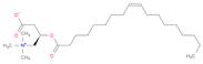 9-Octadecenoyl carnitine