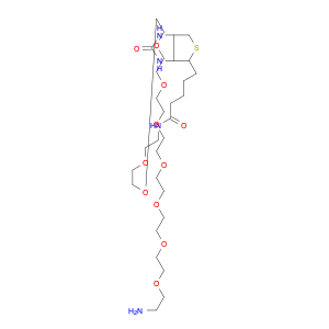 O-(2-Aminoethyl)-O′-[2-(biotinylamino)ethyl]octaethylene glycol