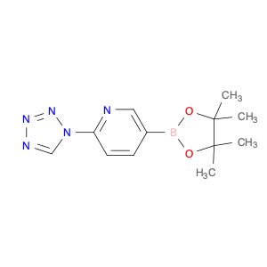6-(1H-Tetrazol-1-yl)pyridine-3-boronic acid pinacol ester
