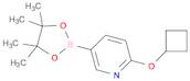 6-(Cyclobutoxy)pyridine-3-boronic acid pinacol ester