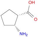 (1S,2R)-2-Aminocyclopentanecarboxylic acid