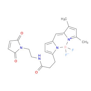 BDP FL maleimide