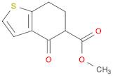 methyl 4-oxo-6,7-dihydro-5H-1-benzothiophene-5-carboxylate