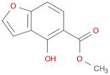 METHYL 4-HYDROXY-1-BENZOFURAN-5-CARBOXYLATE