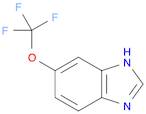 5-(TRIFLUOROMETHOXY)-1H-BENZIMIDAZOLE