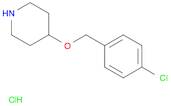 4-((4-Chlorobenzyl)oxy)piperidine hydrochloride