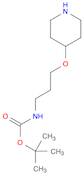 tert-butyl N-[3-(piperidin-4-yloxy)propyl]carbamate