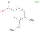 4-Methoxy-5-methylpyridine-2-carboxylic acid hydrochloride