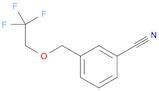 3-[(2,2,2-trifluoroethoxy)methyl]benzonitrile