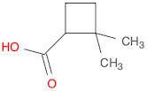 2,2-dimethylcyclobutane-1-carboxylic acid