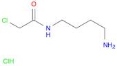 N-(4-aminobutyl)-2-chloroacetamide hydrochloride