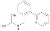 (propan-2-yl)({[2-(pyridin-2-yl)phenyl]methyl})amine