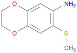 7-(methylsulfanyl)-2,3-dihydro-1,4-benzodioxin-6-amine