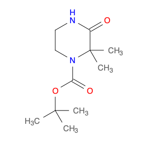 tert-Butyl 2,2-dimethyl-3-oxopiperazine-1-carboxylate