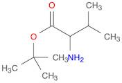 tert-butyl 2-amino-3-methylbutanoate