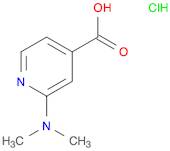 2-(Dimethylamino)pyridine-4-carboxylic acid hydrochloride