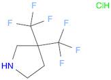 3,3-bis(trifluoromethyl)pyrrolidine hydrochloride