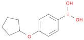 [4-(Cyclopentyloxy)phenyl]boronic acid