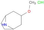 3-methoxy-8-azabicyclo[3.2.1]octane;hydrochloride