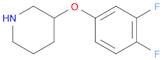 3-(3,4-Difluorophenoxy)piperidine