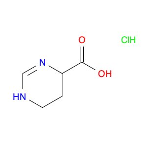 1,4,5,6-tetrahydropyrimidine-4-carboxylic acid hydrochloride