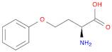 (2S)-2-amino-4-phenoxybutanoic acid