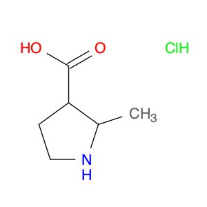 2-methylpyrrolidine-3-carboxylic acid hydrochloride