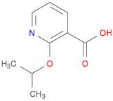 2-Isopropoxynicotinic acid