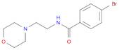 4-bromo-N-[2-(morpholin-4-yl)ethyl]benzamide