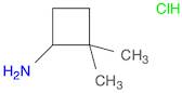 2,2-dimethylcyclobutan-1-amine hydrochloride