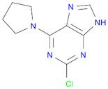 2-Chloro-6-(pyrrolidin-1-yl)-9H-purine