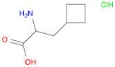 2-amino-3-cyclobutylpropanoic acid hydrochloride