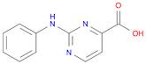 2-(Phenylamino)pyrimidine-4-carboxylic Acid